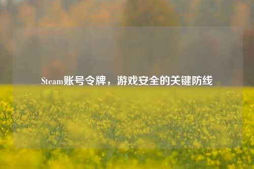 Steam账号令牌，游戏安全的关键防线
