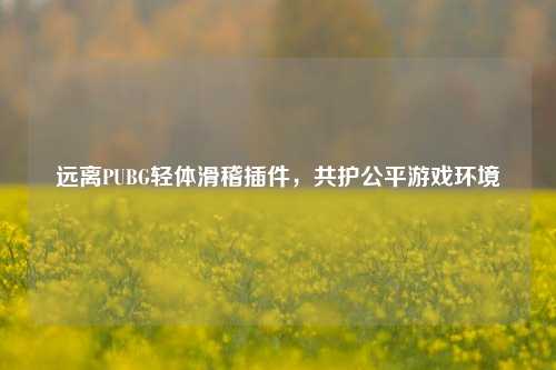 远离PUBG轻体滑稽插件，共护公平游戏环境