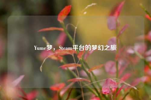 Yume梦,Steam平台的梦幻之旅
