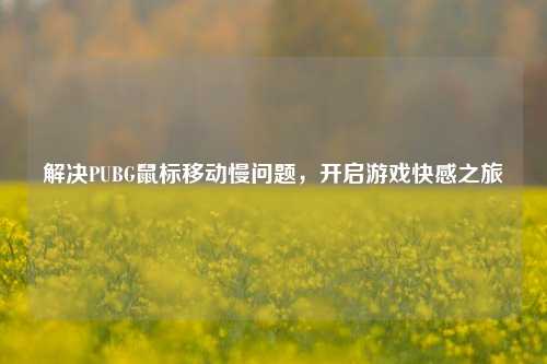 解决PUBG鼠标移动慢问题,开启游戏快感之旅